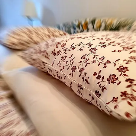 Homestay szállás Rokokovy Zamek *