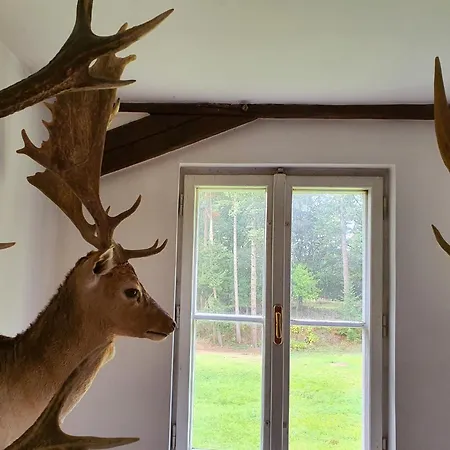 Homestay szállás Rokokovy Zamek *